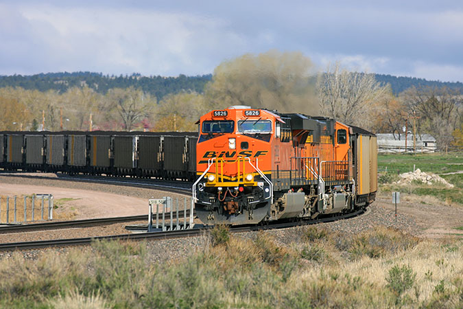 A BNSF train rolls by maintained vegetation. 